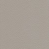 (TH) New Club Silver Grey (Grade 25) NC-041E