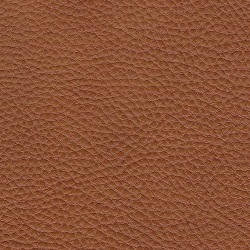 (TH) Silky Caramel (Grade 35) SK-598D