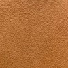 (MB) Brescia Palomino (Grade 3)*