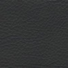 (N) Denver Anthracite A0bF (Grade 10a)