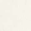 (N) Denver White Magnolia A0b5 (Grade 10a) x