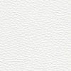 (N) Denver Optical White A0bY (Grade 10a)