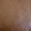 (QS) Bruno Hickory