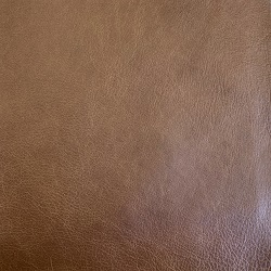 (QS) Bruno Hickory