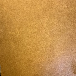(QS) Bruno Tan