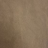 (CR) Dante Cappuccino (Grade B)