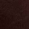 (CR) Dante Espresso (Grade B)