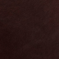 (CR) Dante Espresso (Grade B)