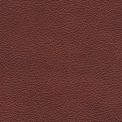 (CR) Regent Maple (Grade A)