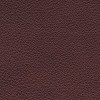 (CR) Regent Walnut (Grade A)