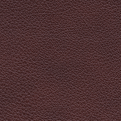 (CR) Regent Walnut (Grade A)