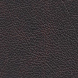 (CR) Saloon Chocolate (Grade D)
