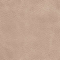 (CR) Saloon French Vanilla (Grade D)