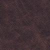 (CR) Saloon Texas (Grade D)