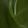 (MG) Mont Blanc Evergreen (Grade G)