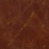 (AA) Brompton Caramel (Grade F Special Sale)