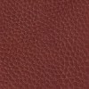 Grade 60 (VL) Astonia Carmel (B8008-20)