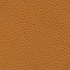 Grade 50 (VL) Verona Marigold (H3000-15)