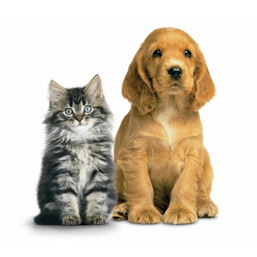 5 Year Pet & Power Recliner Protection Plan