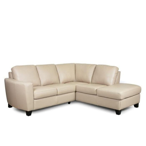 Trina Bay Leather Sectional