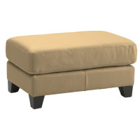 Fiora Coast Leather Sectional