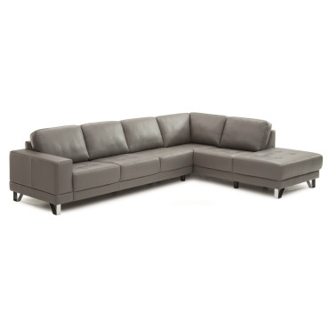 Galyn Leather Sectional