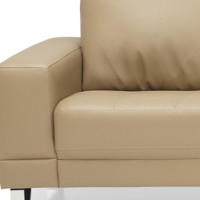 Galyn Leather Sectional