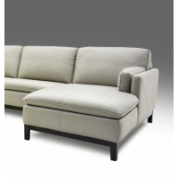 Nolia Leather Sectional