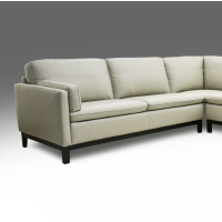 Nolia Leather Sectional