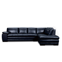 Giada Leather Sectional