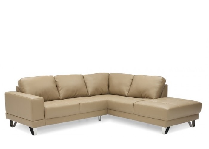 Galyn Leather Sectional
