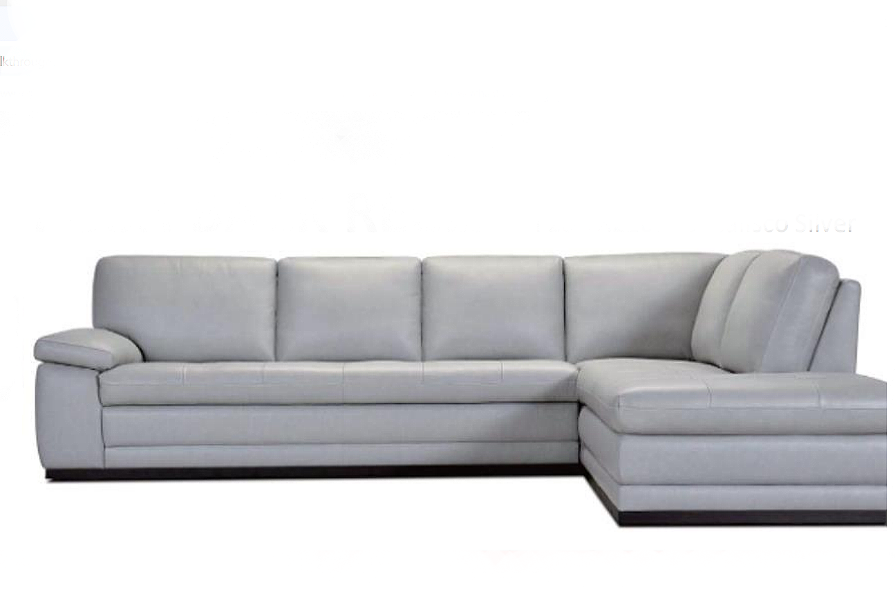 Gael Stationary Leather Sectional