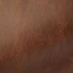(AA) Brompton Chestnut (Grade E) Sale!