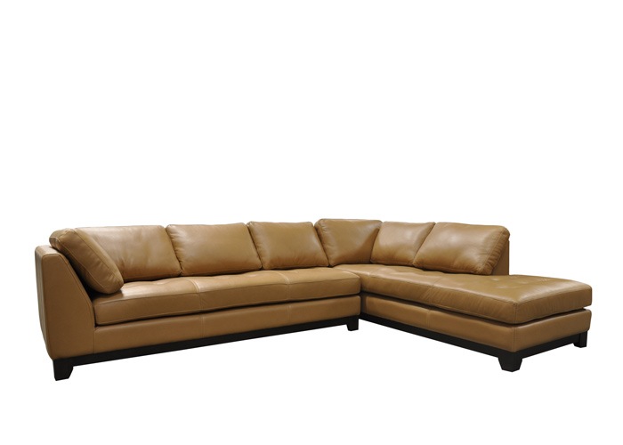 Sentrya Leather Sectional